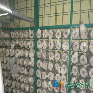 養殖網(wǎng)片案例